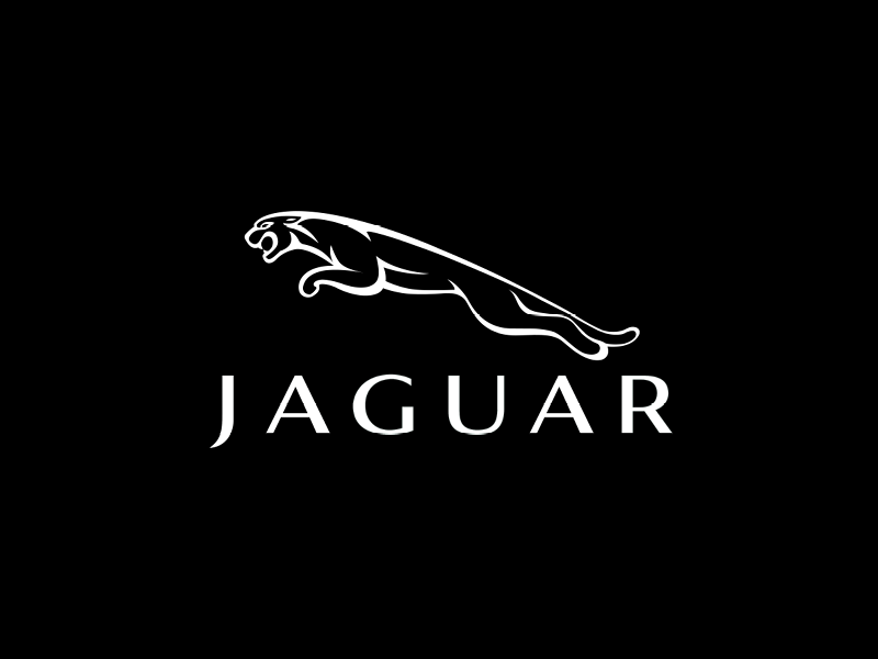 Jaguar Jaguar